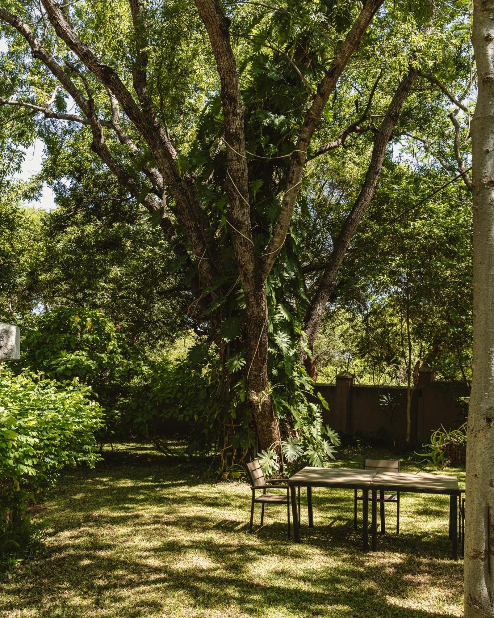 Jacaranda Lodge Victoria Falls Ngoại thất bức ảnh