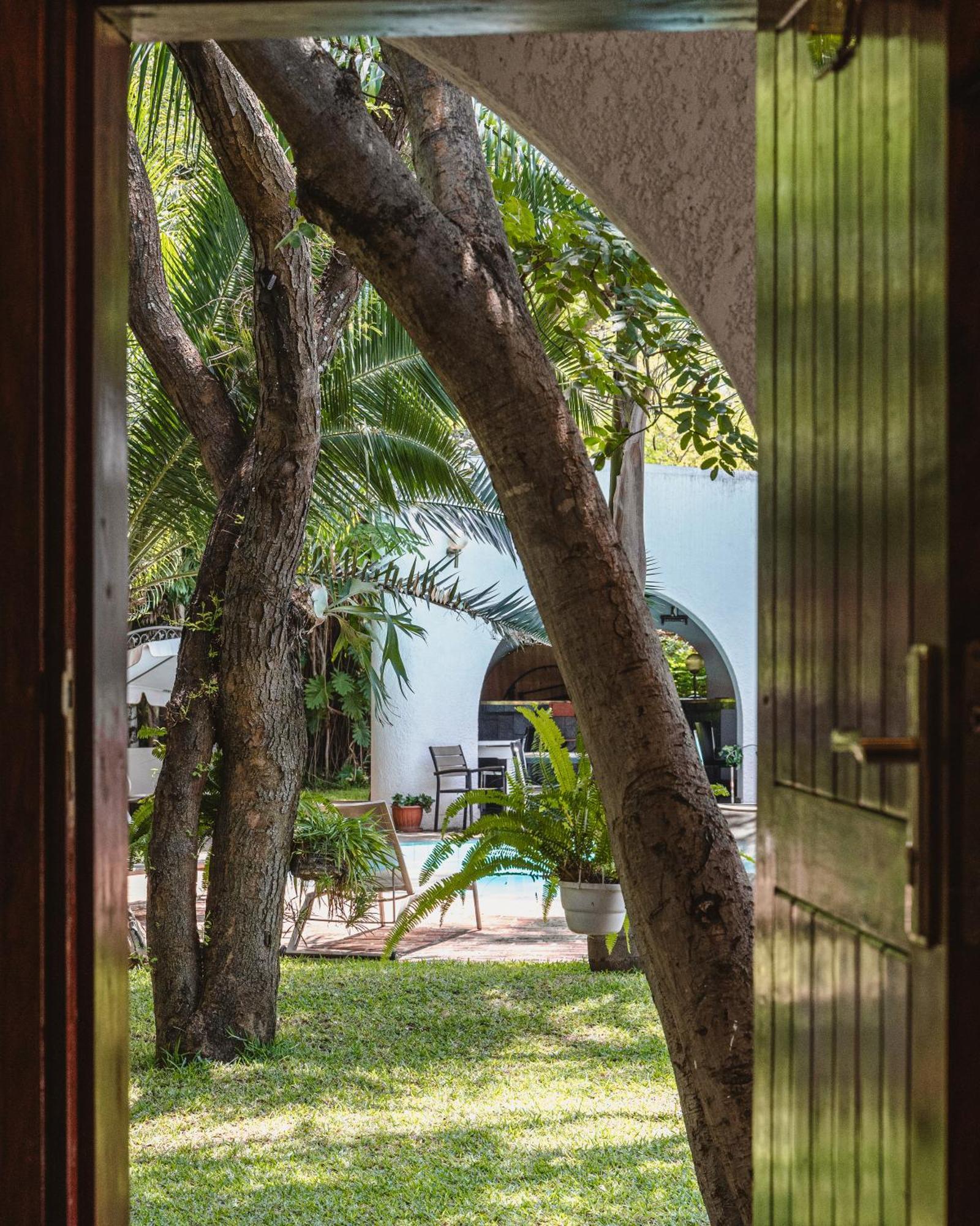 Jacaranda Lodge Victoria Falls Ngoại thất bức ảnh