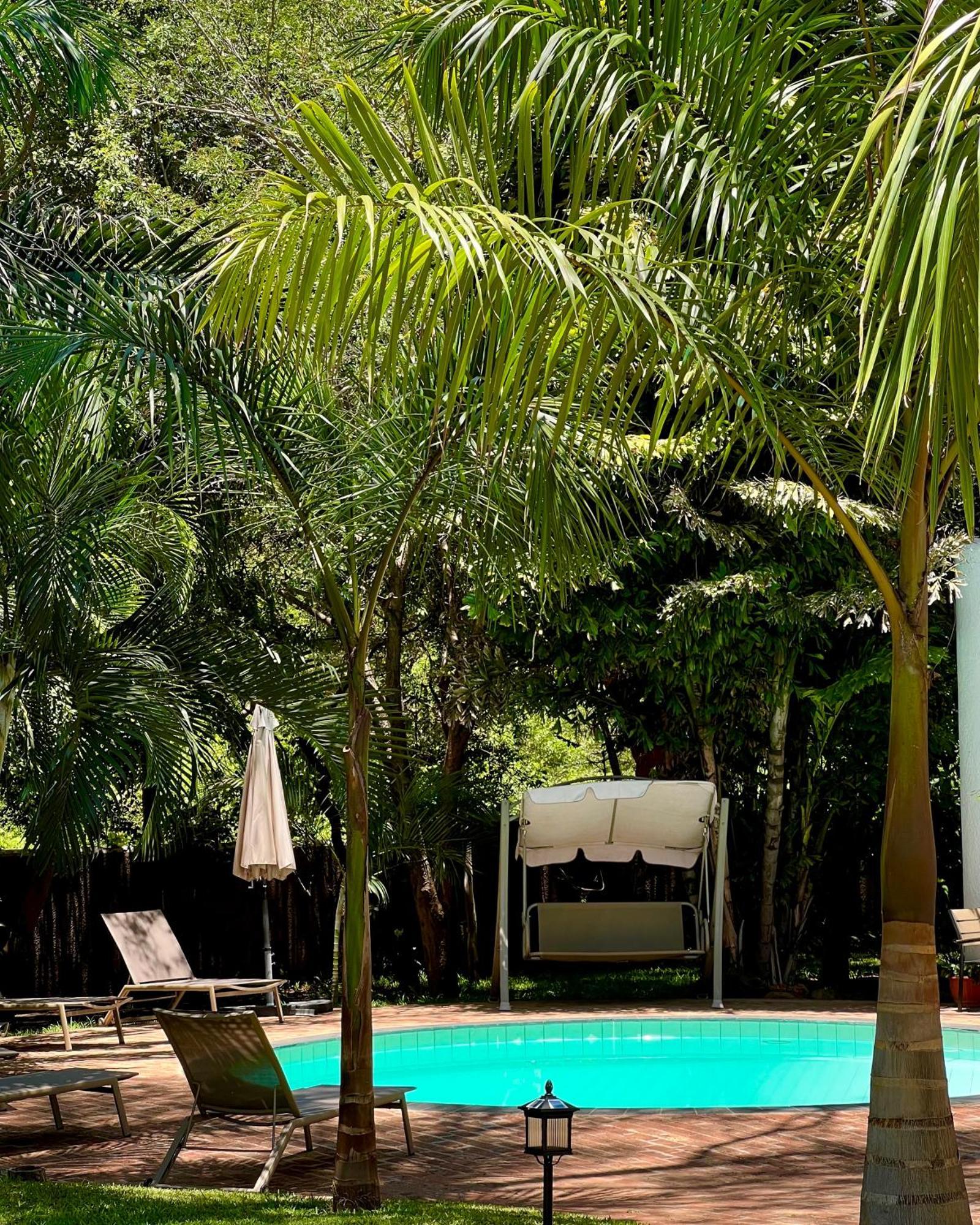 Jacaranda Lodge Victoria Falls Ngoại thất bức ảnh